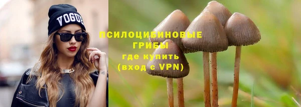 mdma Бородино