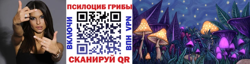 Псилоцибиновые грибы мухоморы  закладка  Ноябрьск 