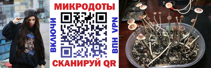 Галлюциногенные грибы MAGIC MUSHROOMS Ноябрьск