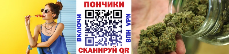 Бошки Шишки планчик Ноябрьск